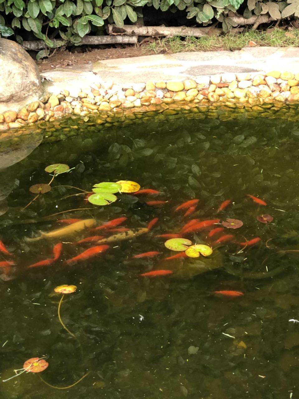 "Ai 4 Soli" 세르메나테 외부 사진